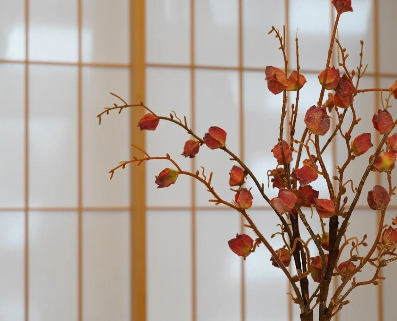 MKG HOTEL Asakusa Tokyo